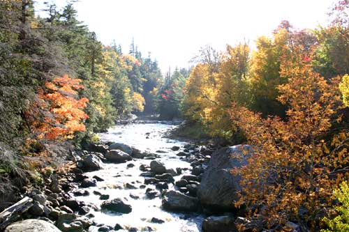 Autumn in New York - The Adirondacks