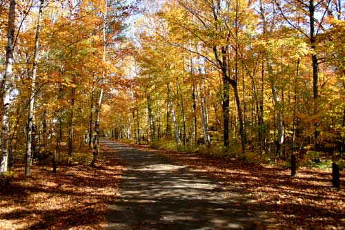 Autumn in New York - The Adirondacks -