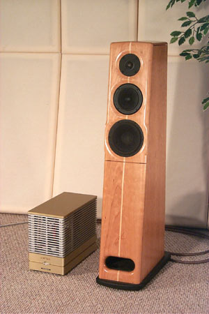 Cherry Osprey being driven by an Aria WT-350 Mono Amplifier