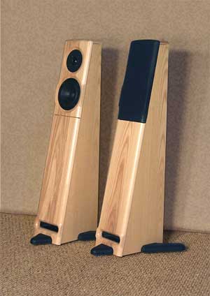 Meadowlark Audio Swift Pair