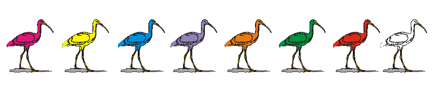 Ibis Row