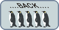 Penguin Back |Button