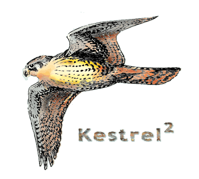 Kestrel 2 Logo - Flying Kestrel