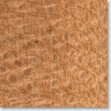 Lacewood- Meadowlark Audio Extra Fancy Premium Veneer