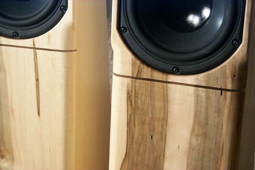 Close up of Ambrosia Maple Kestrel 2's