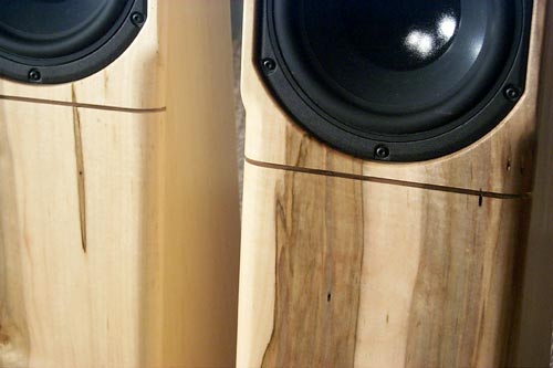 Close up of Ambrosia Maple Kestrel 2's