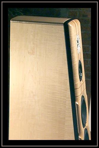 Meadowlark Audio Blue Heron 2. Curly Maple with double Aromatic Cedar Stringers. - Close up of side
