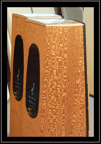 Meadowlark Audio Blue Heron 2.  Lacewood with Pennsylvania Cherry baffle and Mahogany Stringer - Close up side view