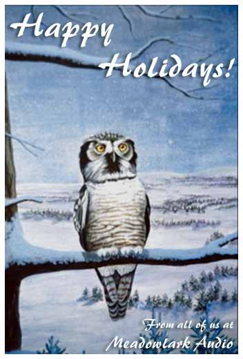 Winter Owl - Happy Holidays from all of us at Meadowlark Audio