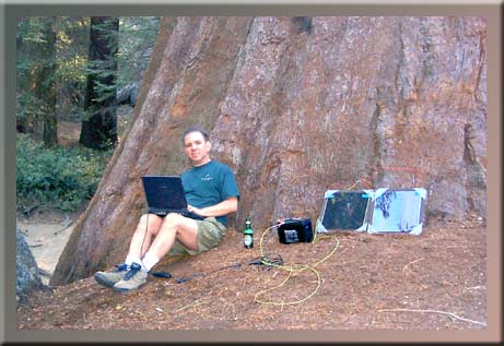 Pat in the Sequoias collecting photons.