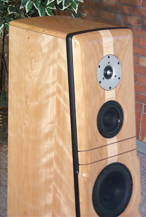 Meadowlark Audio Blue Heron 2 Closeup of front of speaker