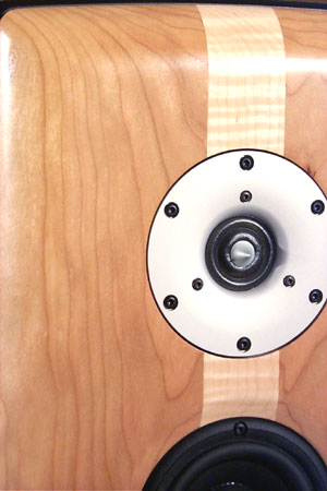 Meadowlark Audio Blue Heron2 Loudspeaker tweeter close up