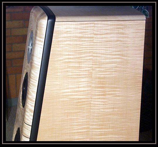 Close up of side of Curly Maple Blue Heron 2