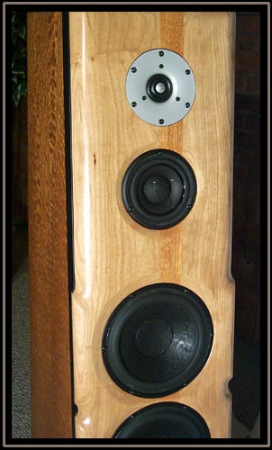 Meadowlark Audio Blue Heron 2 Lacewood with Pennsylvania Cherry baffle and Mahogany Stringer - Close up of baffle