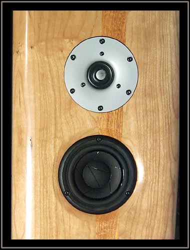 Meadowlark Audio Blue Heron 2 Lacewood with Pennsylvania Cherry baffle and Mahogany Stringer - Close up of baffle