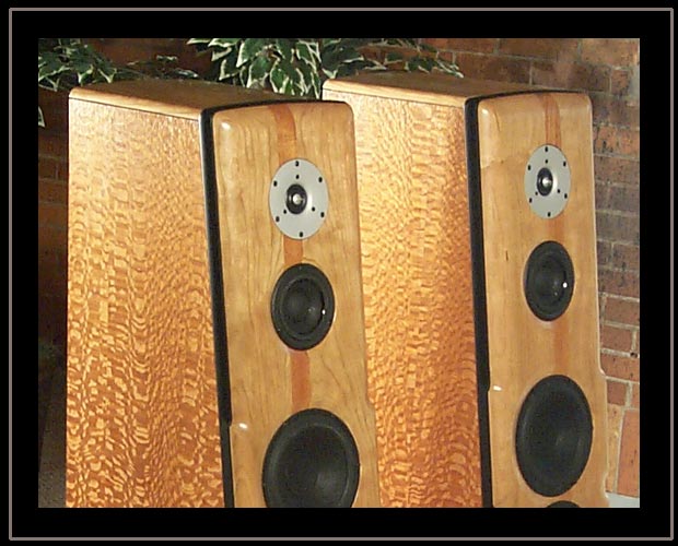 Meadowlark Audio Blue Heron 2.  Lacewood with Pennsylvania Cherry baffle and Mahogany Stringer - Close up